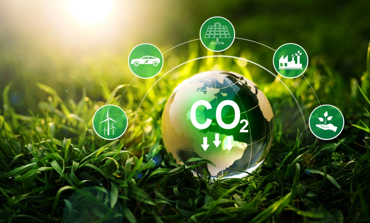 Amprenta de carbon în constructii